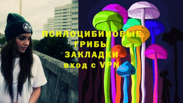 герыч Арсеньев