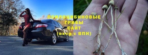 ГАЛЛЮЦИНОГЕННЫЕ ГРИБЫ Абдулино