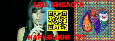 МДПВ Донецк