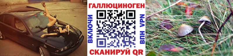 Галлюциногенные грибы мицелий  Кемерово 
