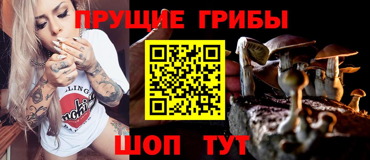 Галлюциногенные грибы Magic Shrooms  Вход с VPN  Псилоцибиновые грибы Magic Shrooms  Кемерово 